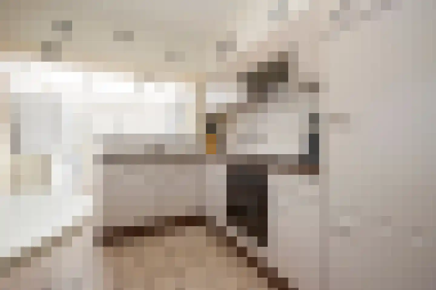 Burg Hoefnagelsstraat 72 Sas van Gent thumbnail 8