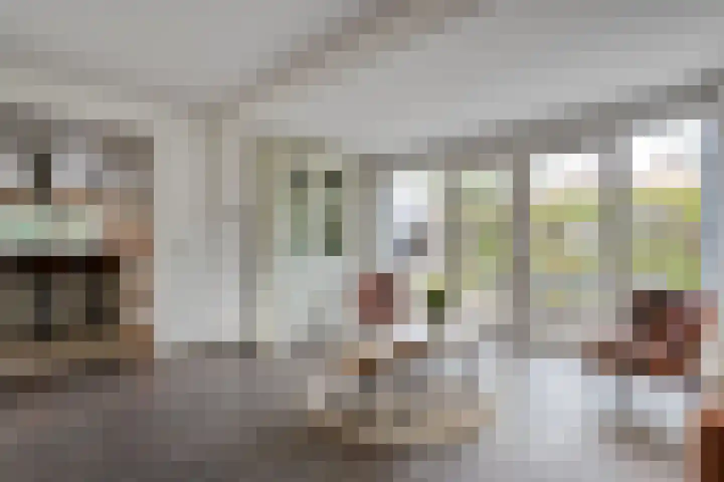 Burg.Hoekstrastraat 4 Nieuwleusen thumbnail 16