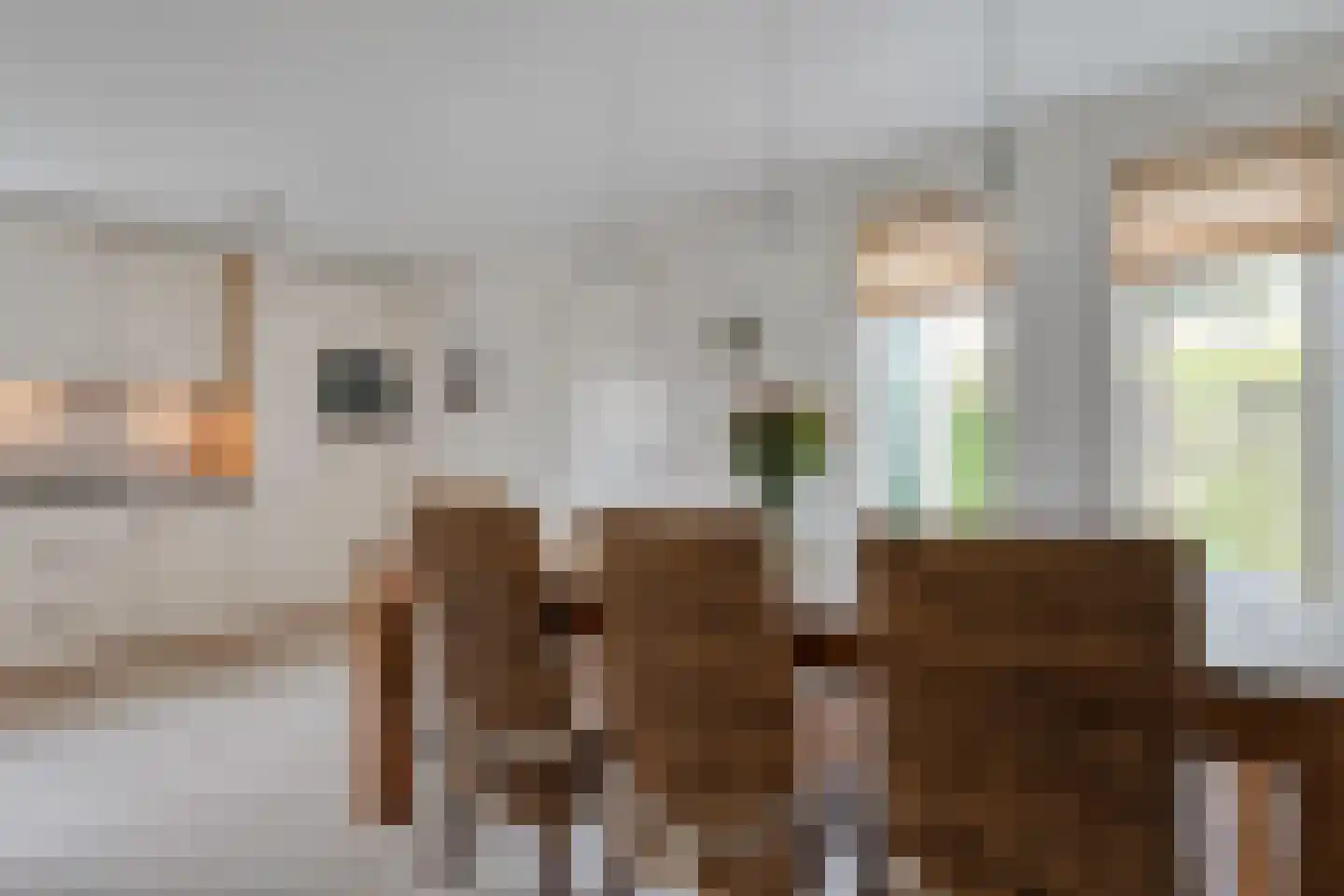 Burg.Hoekstrastraat 4 Nieuwleusen thumbnail 18