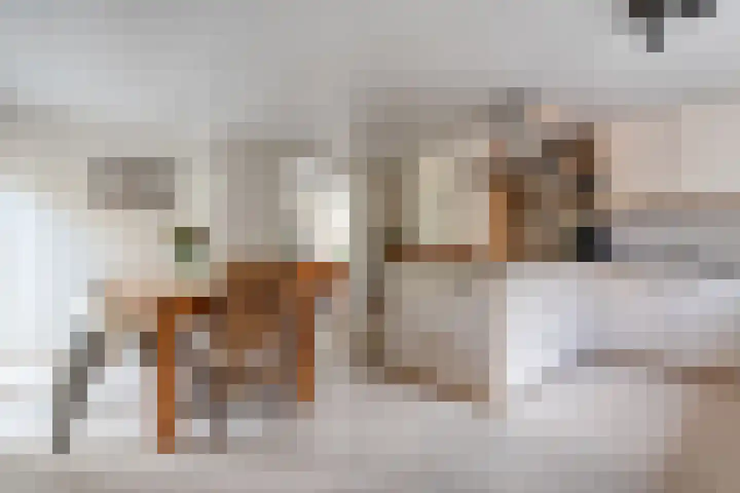 Burg.Hoekstrastraat 4 Nieuwleusen thumbnail 19