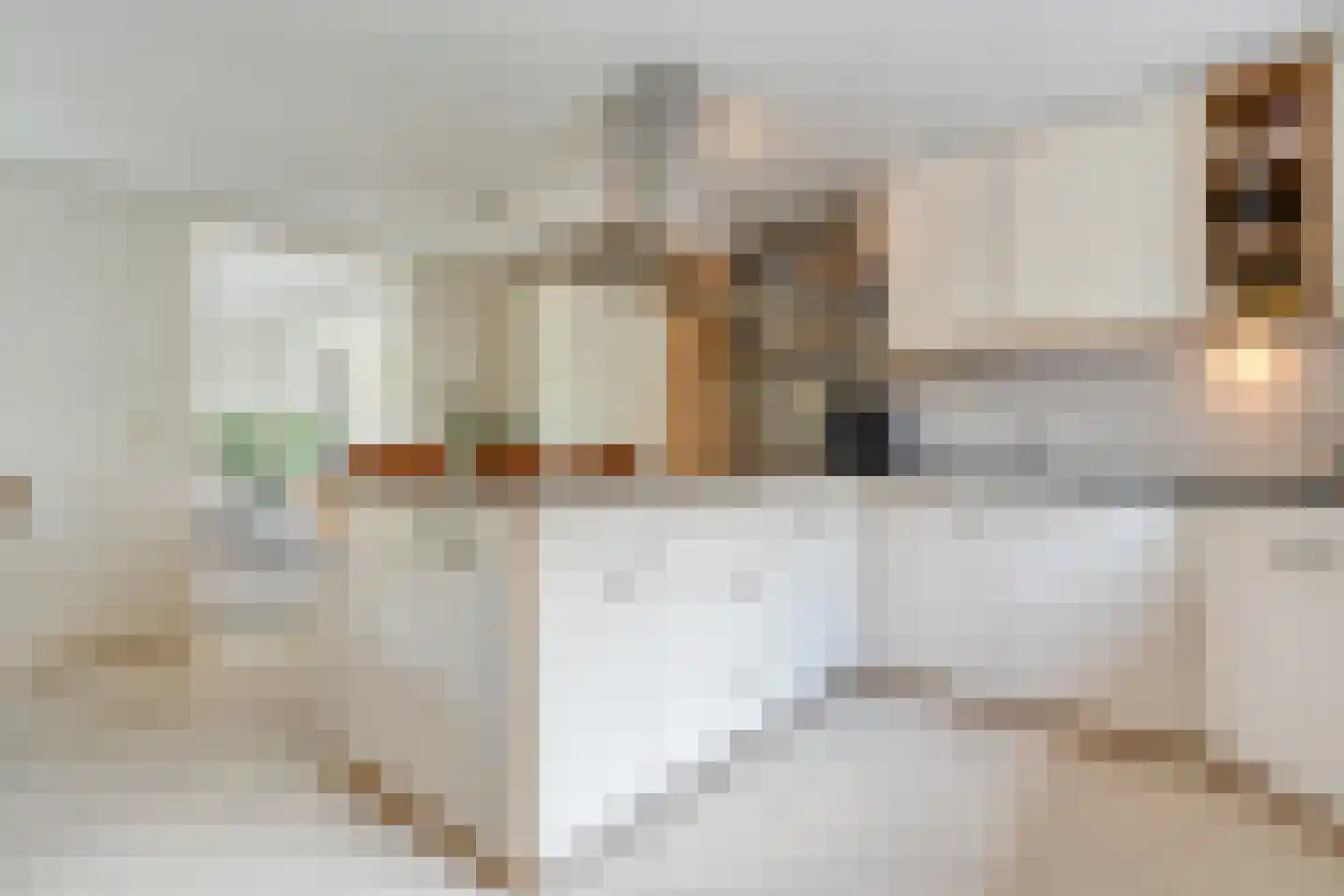Burg.Hoekstrastraat 4 Nieuwleusen thumbnail 20
