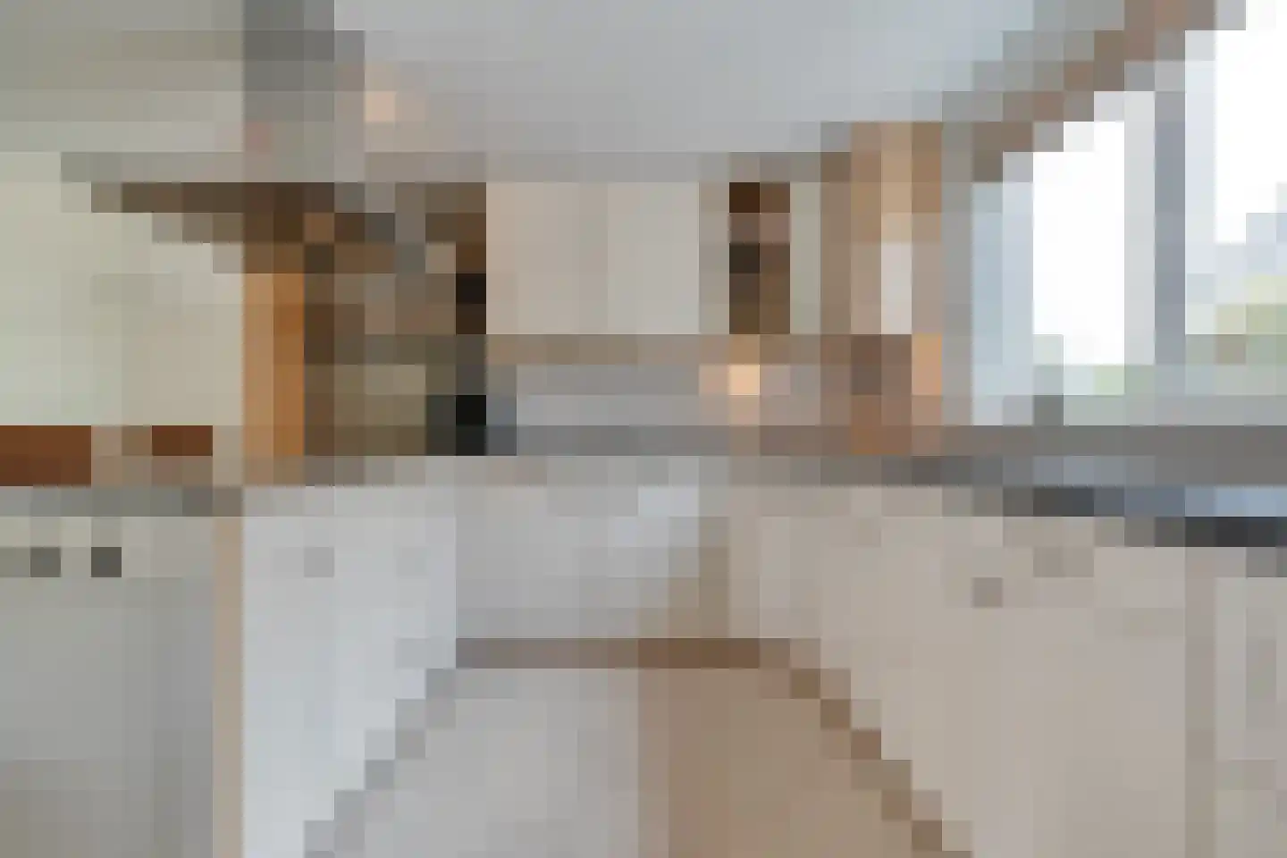 Burg.Hoekstrastraat 4 Nieuwleusen thumbnail 21