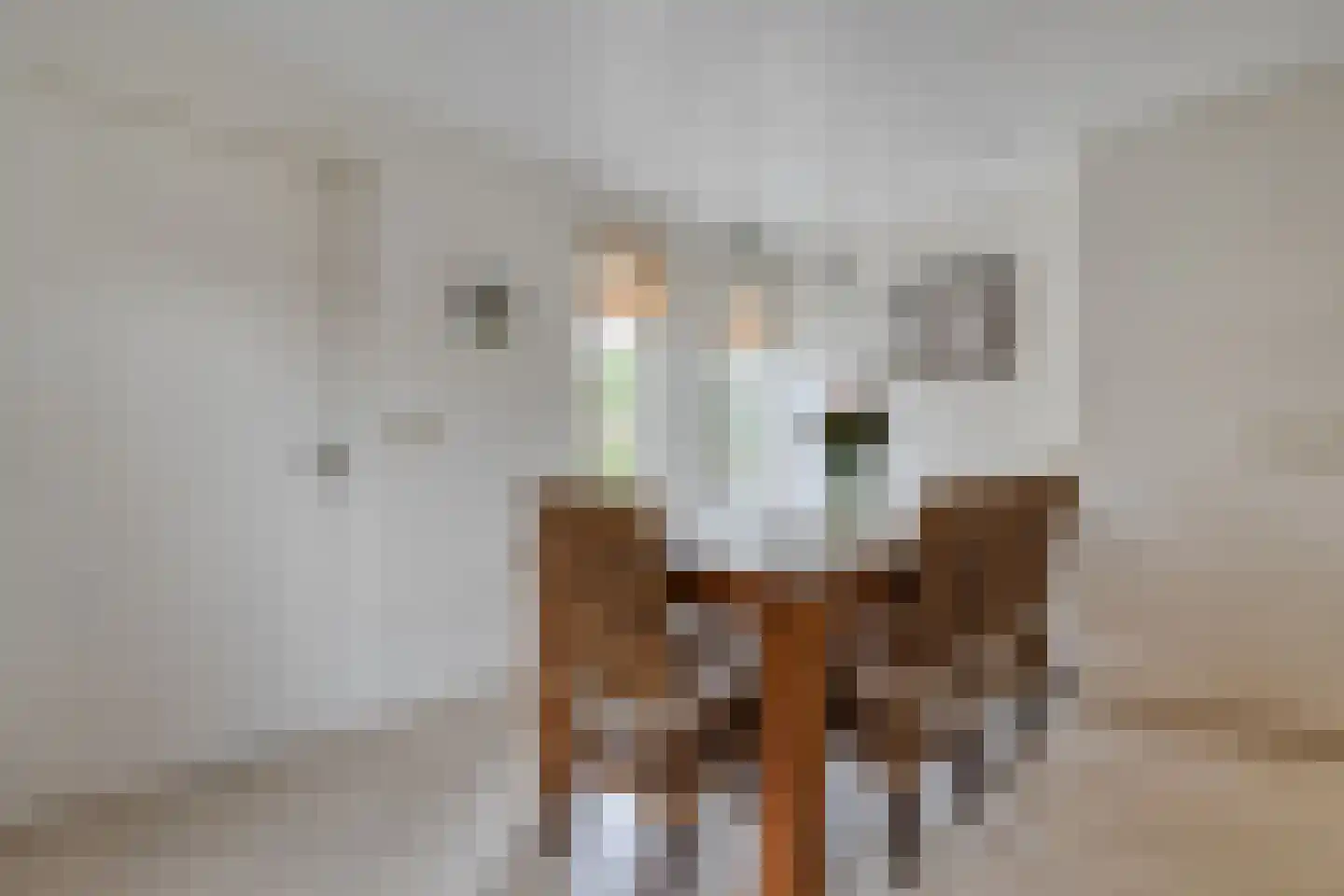 Burg.Hoekstrastraat 4 Nieuwleusen thumbnail 23