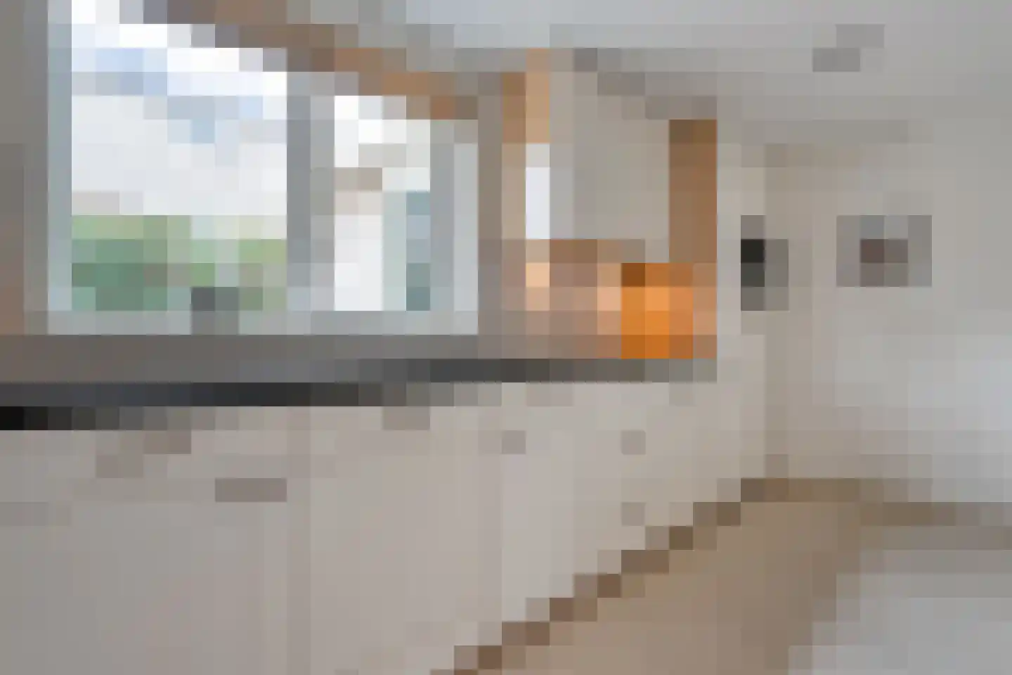 Burg.Hoekstrastraat 4 Nieuwleusen thumbnail 24