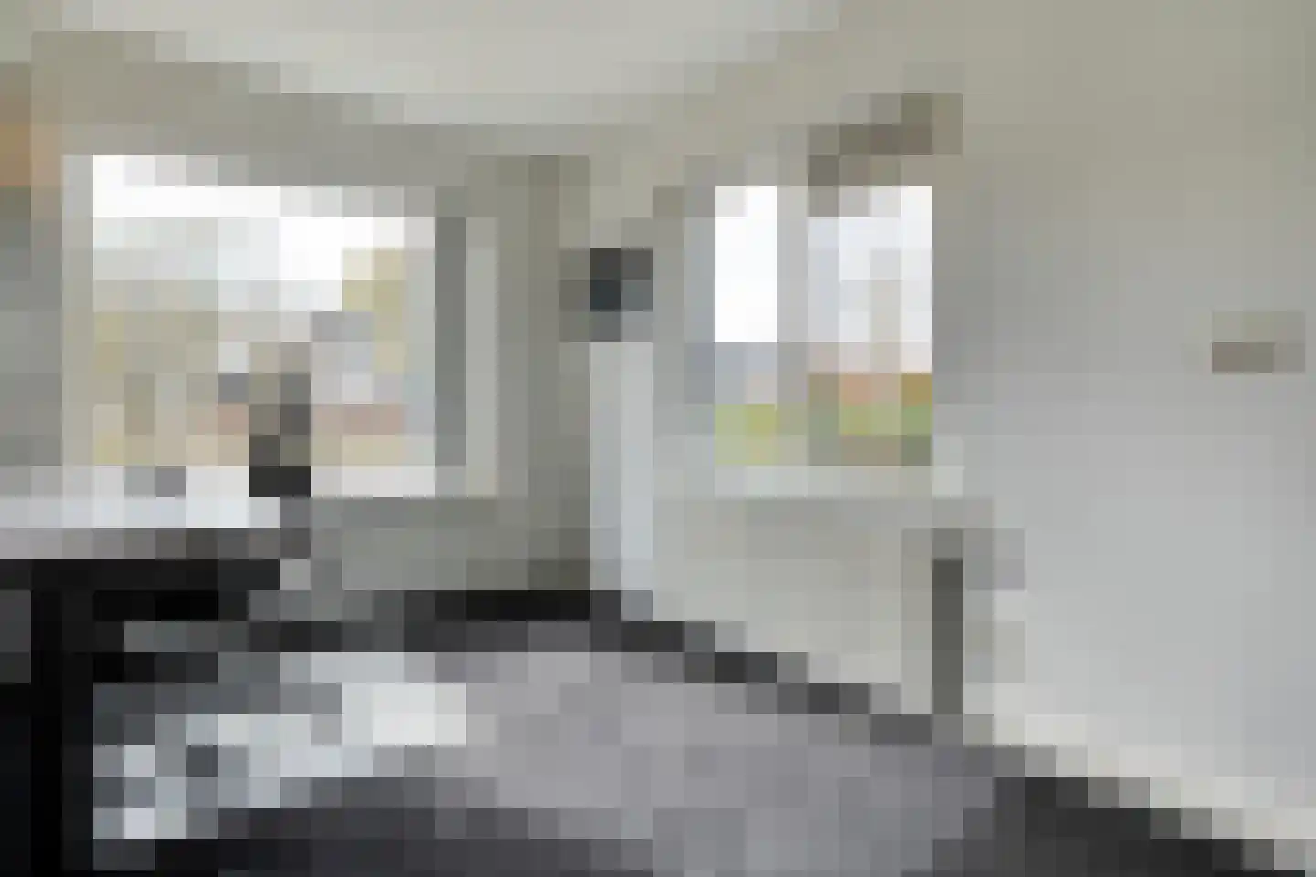 Burg.Hoekstrastraat 4 Nieuwleusen thumbnail 25