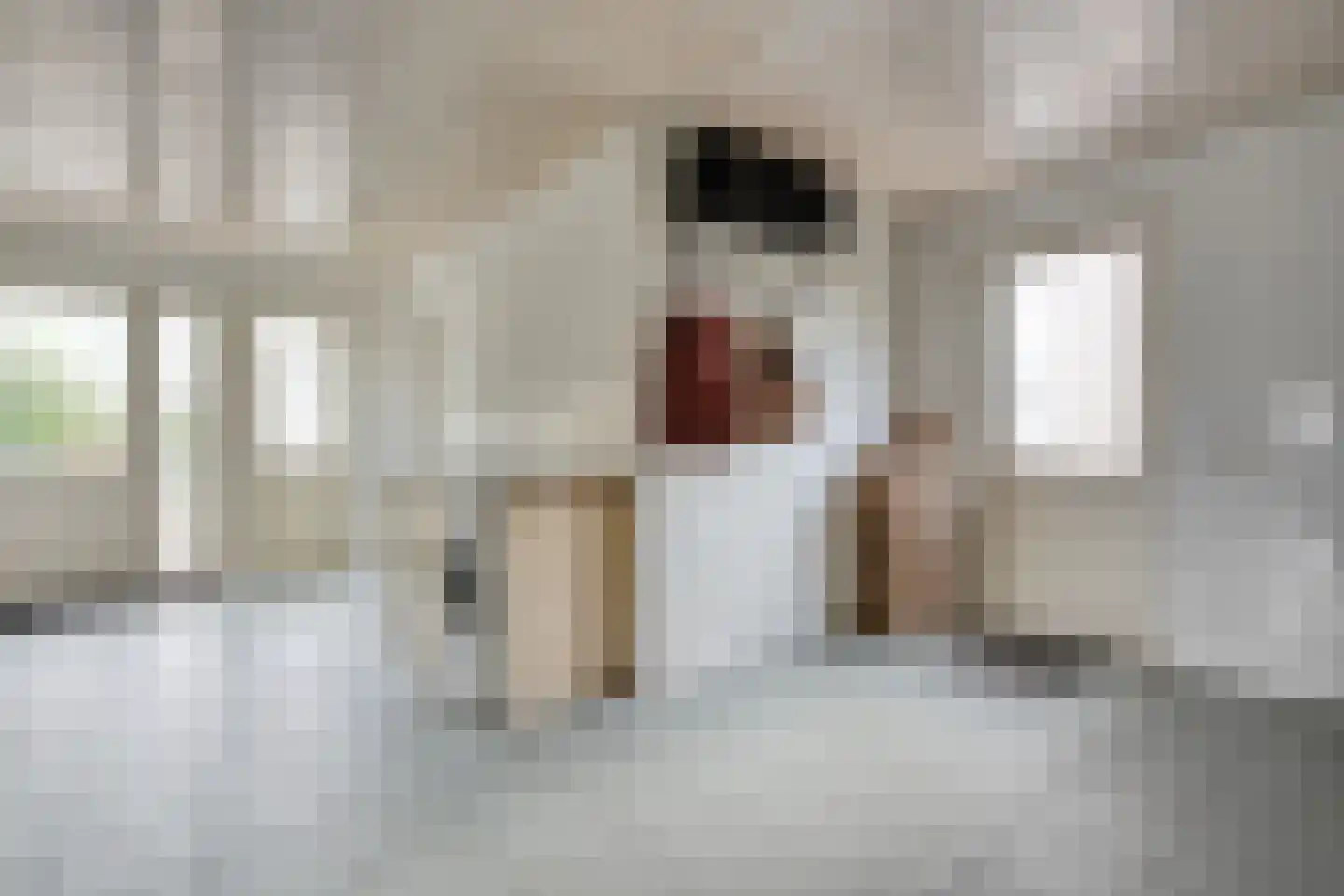 Burg.Hoekstrastraat 4 Nieuwleusen thumbnail 27