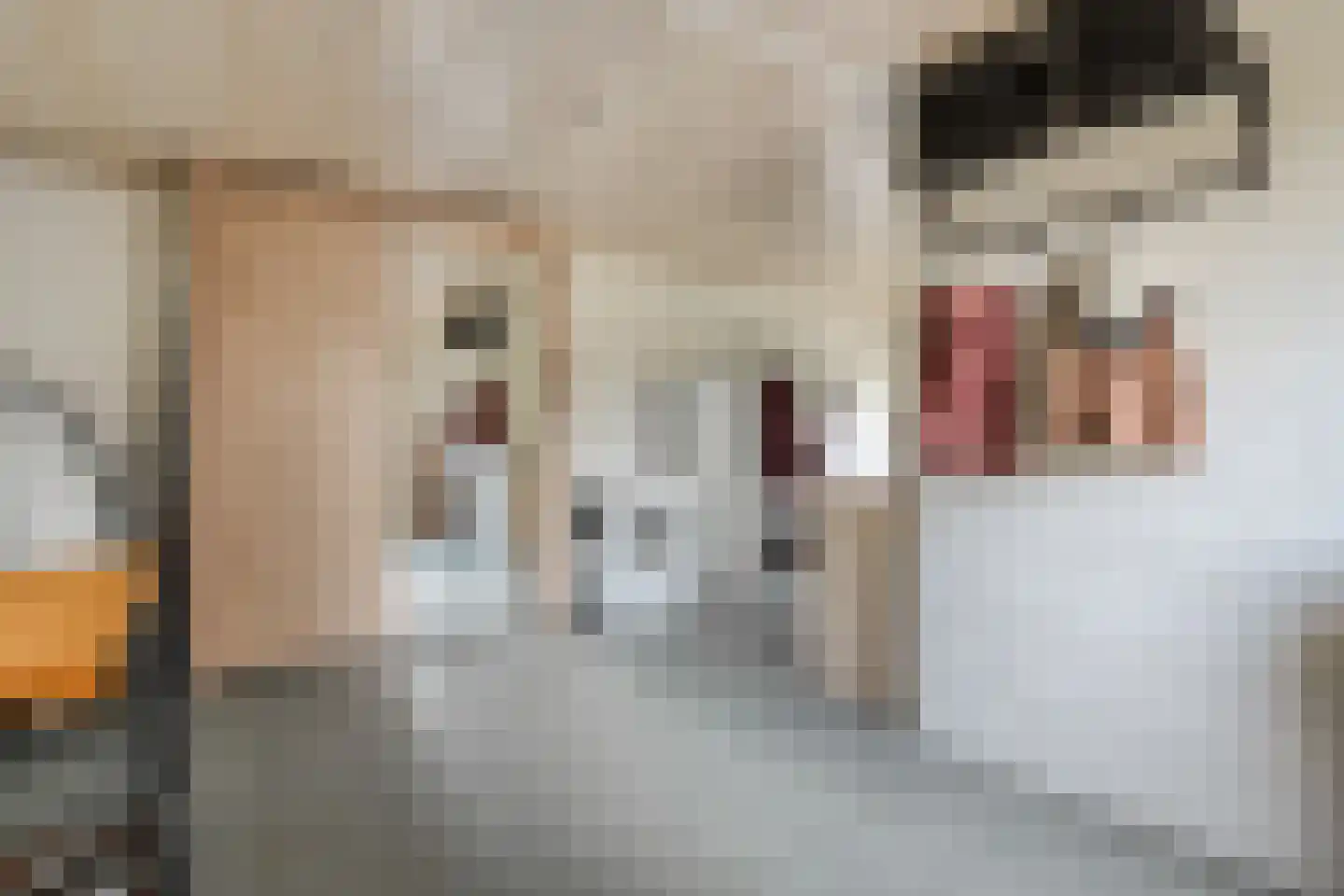 Burg.Hoekstrastraat 4 Nieuwleusen thumbnail 28