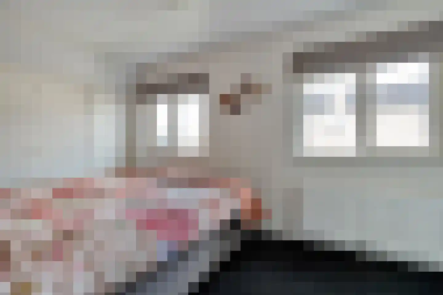 Burg.Hoekstrastraat 4 Nieuwleusen thumbnail 32