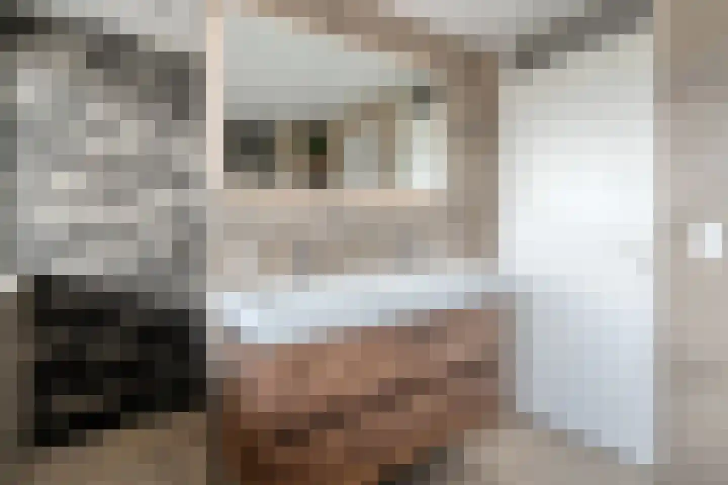 Burg.Hoekstrastraat 4 Nieuwleusen thumbnail 41