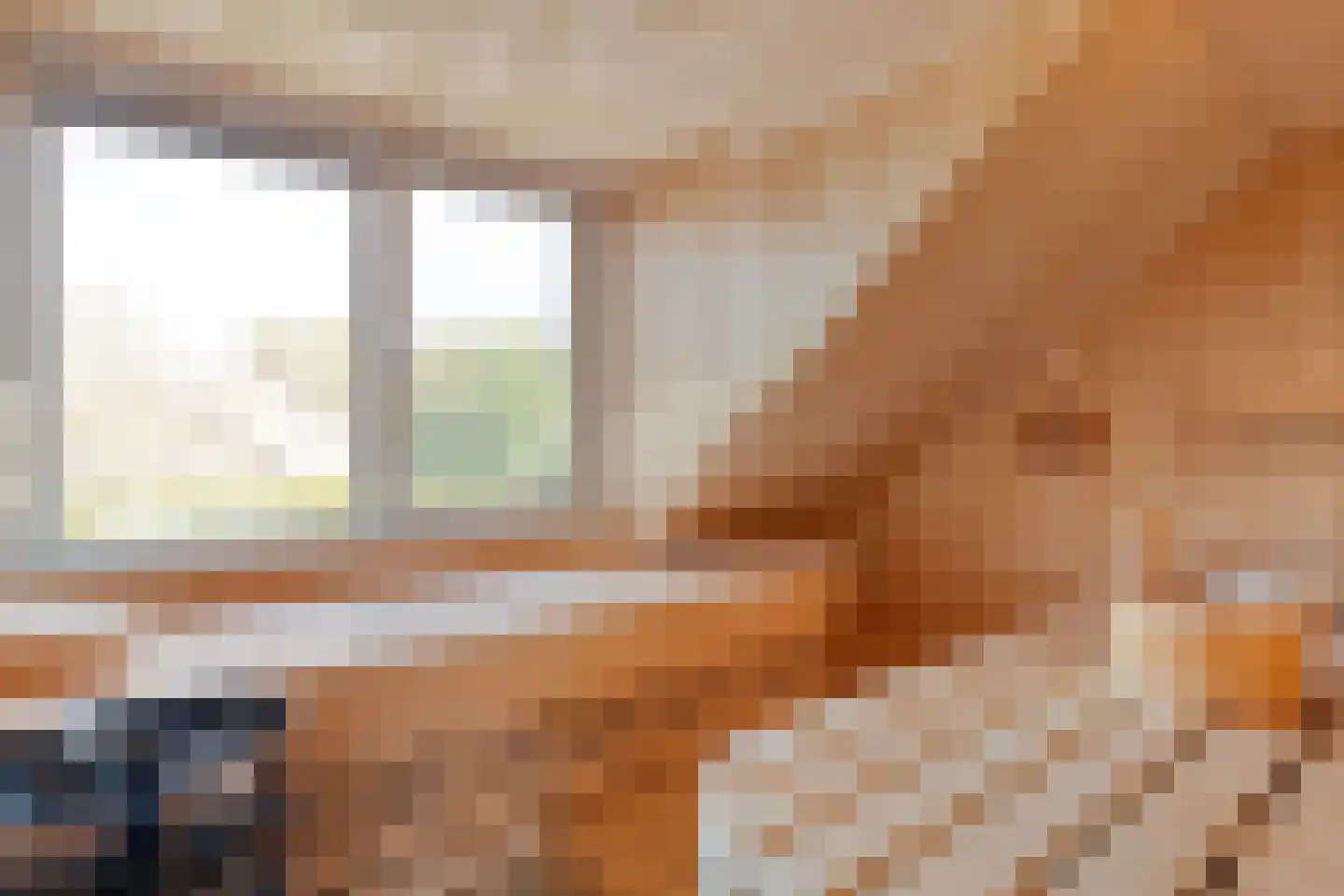 Burg.Hoekstrastraat 4 Nieuwleusen thumbnail 43