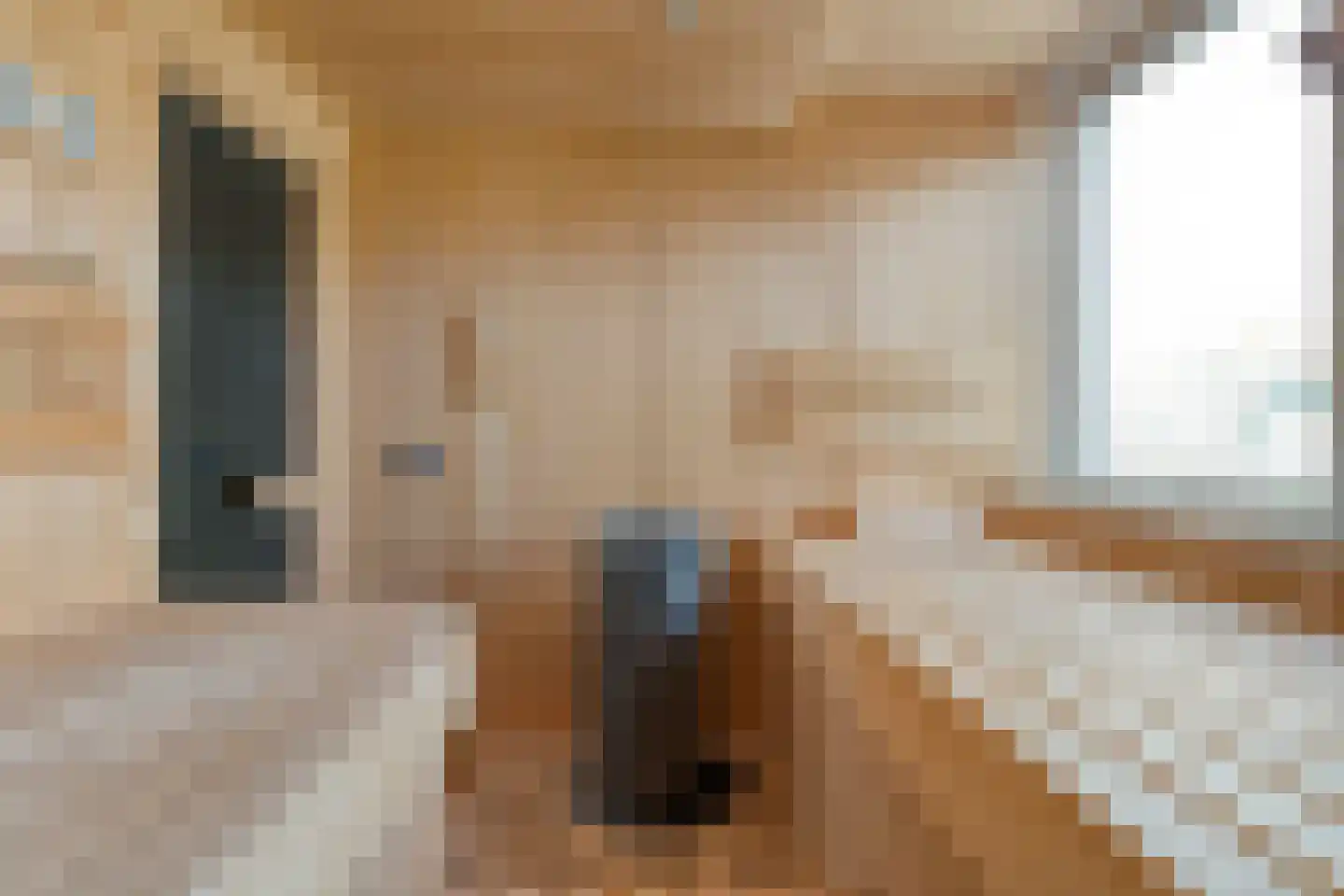 Burg.Hoekstrastraat 4 Nieuwleusen thumbnail 44