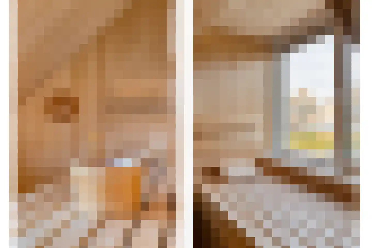 Burg.Hoekstrastraat 4 Nieuwleusen thumbnail 45