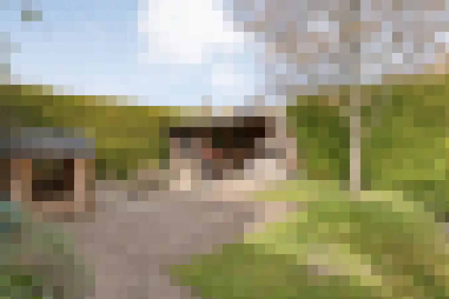 Burg.Hoekstrastraat 4 Nieuwleusen thumbnail 49