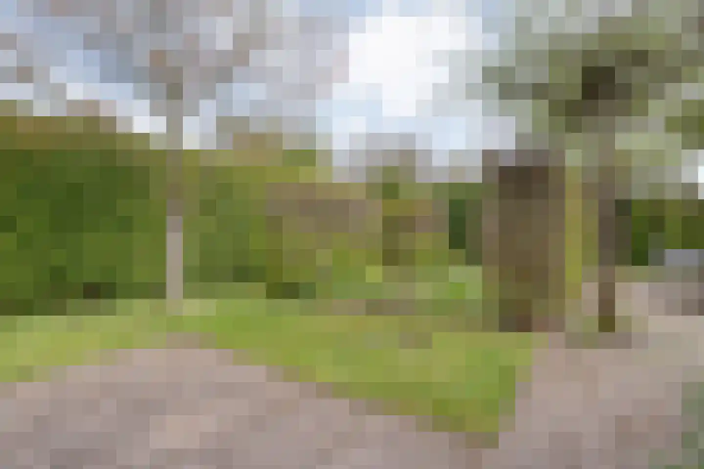 Burg.Hoekstrastraat 4 Nieuwleusen thumbnail 55