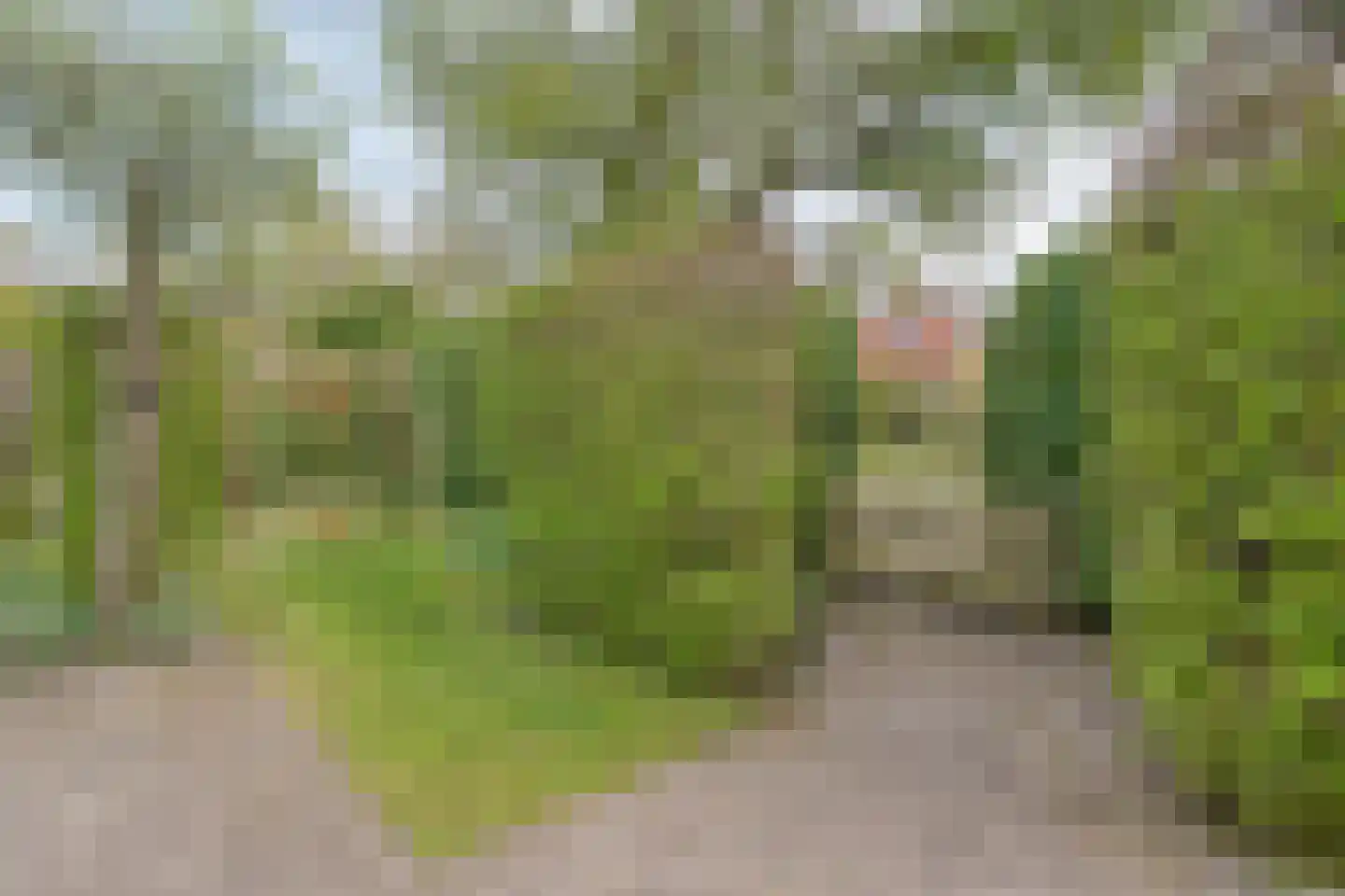 Burg.Hoekstrastraat 4 Nieuwleusen thumbnail 56
