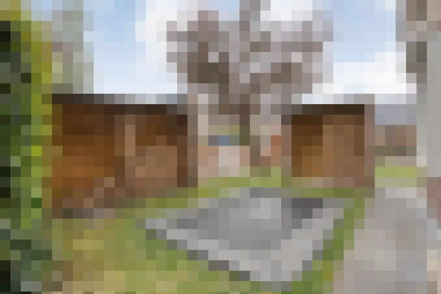 Burg.Hoekstrastraat 4 Nieuwleusen thumbnail 57