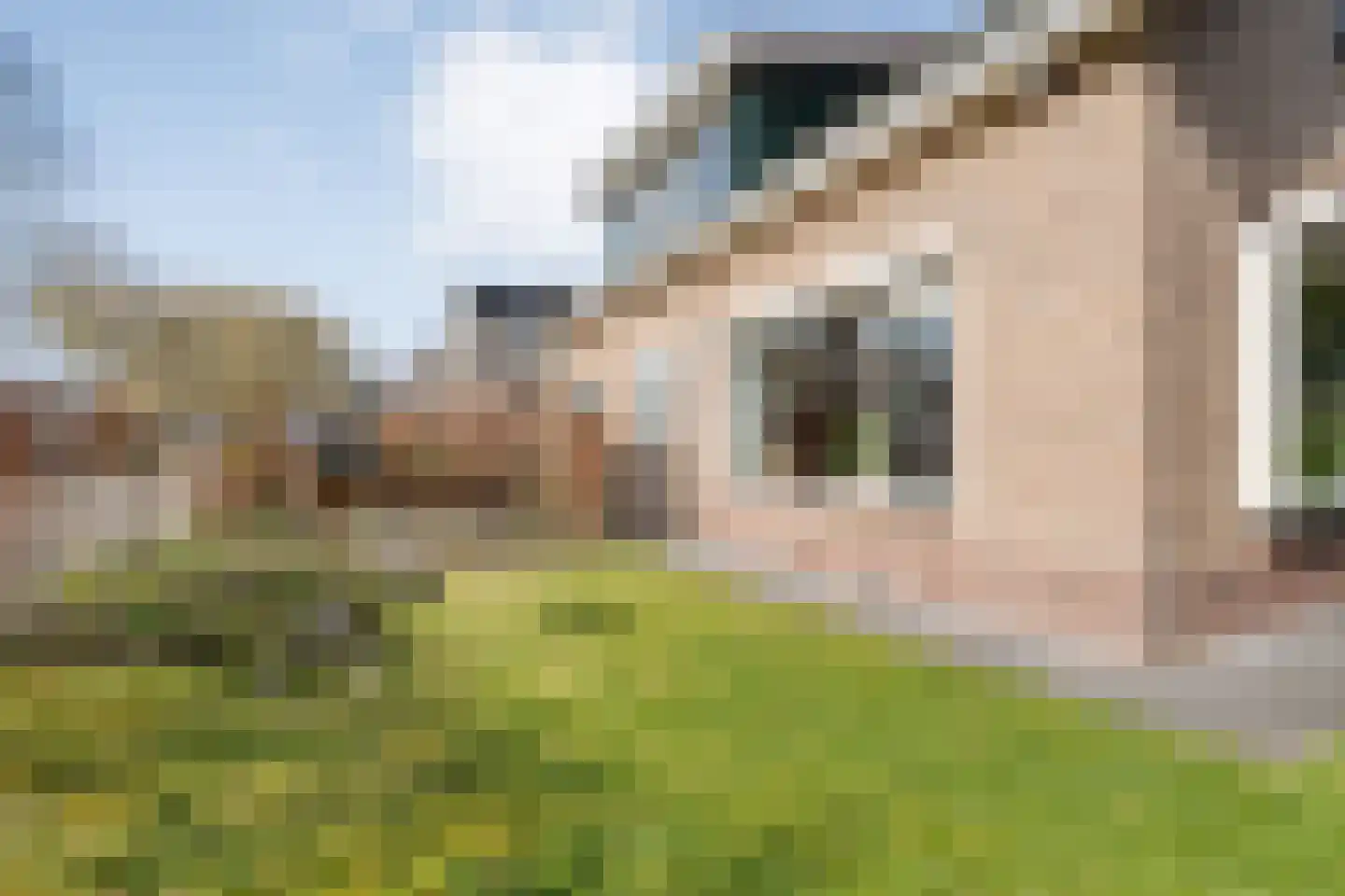 Burg.Hoekstrastraat 4 Nieuwleusen thumbnail 64
