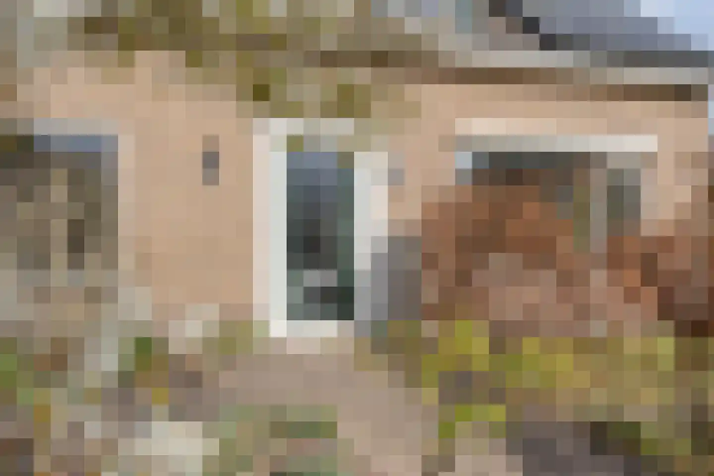 Burg.Hoekstrastraat 4 Nieuwleusen thumbnail 7