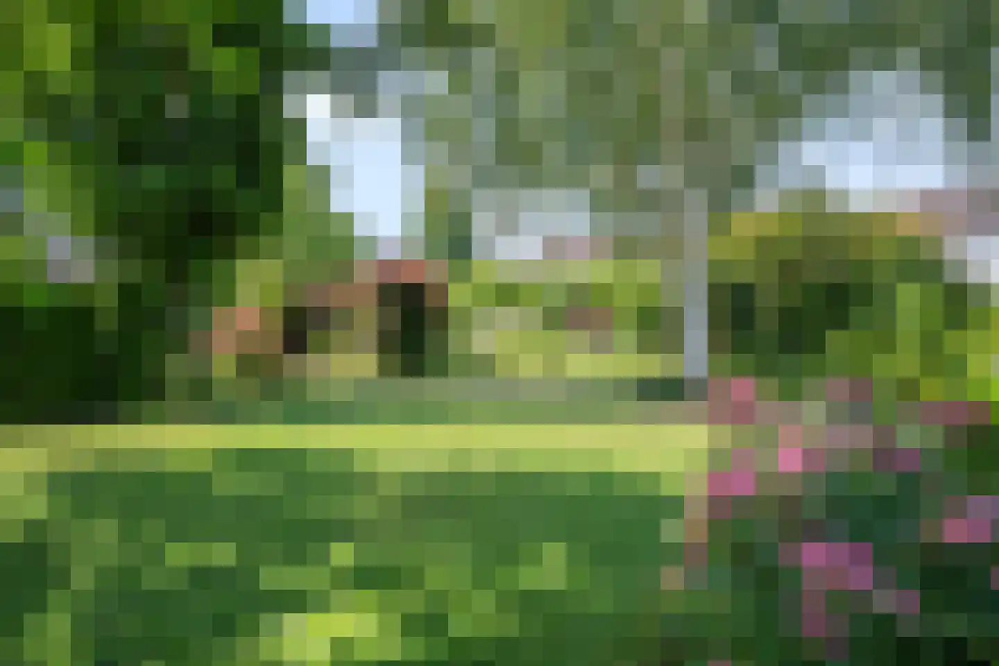 Burg. Houbenstraat 34 Papenhoven foto 2