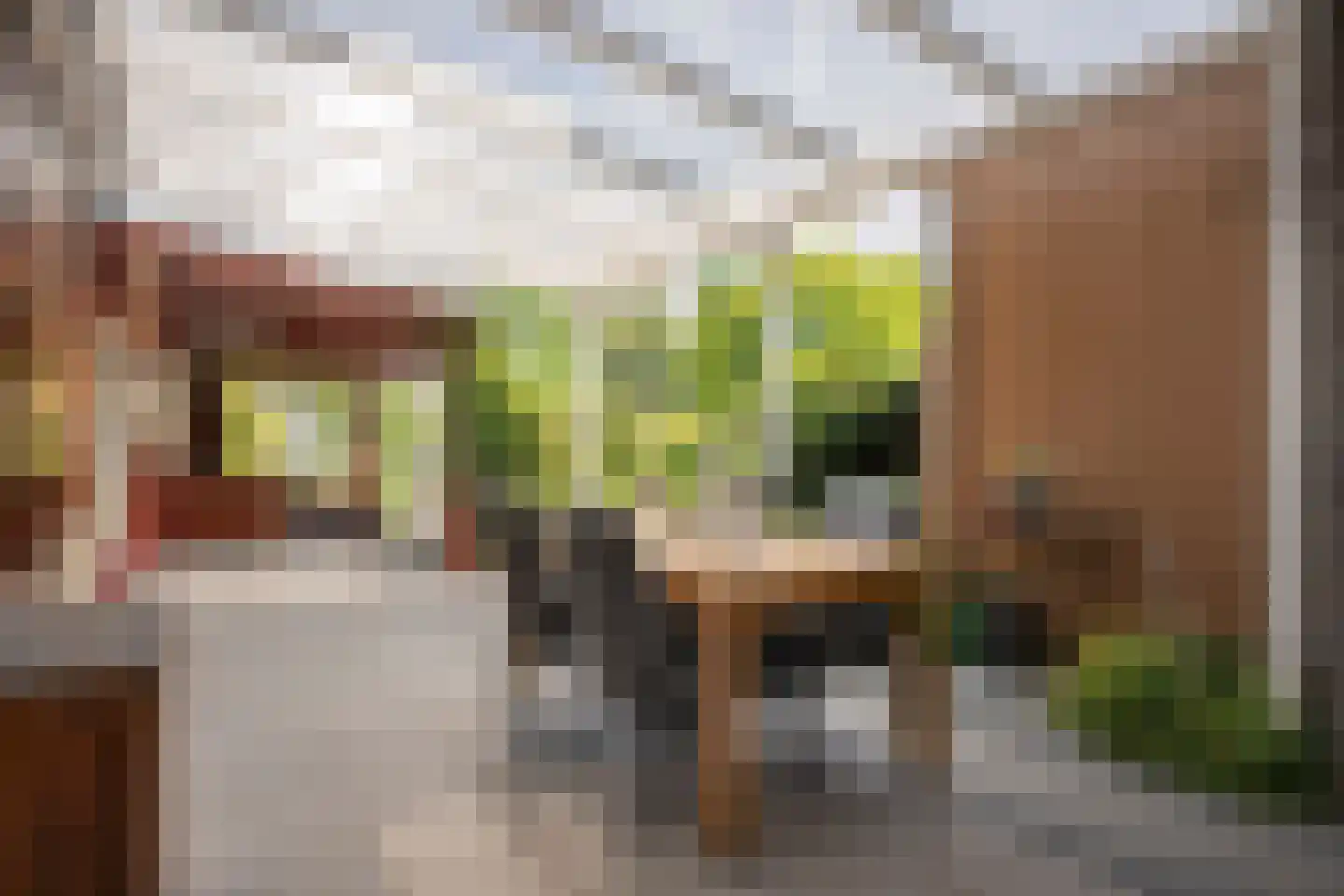 Burg. Houbenstraat 34 Papenhoven thumbnail 22