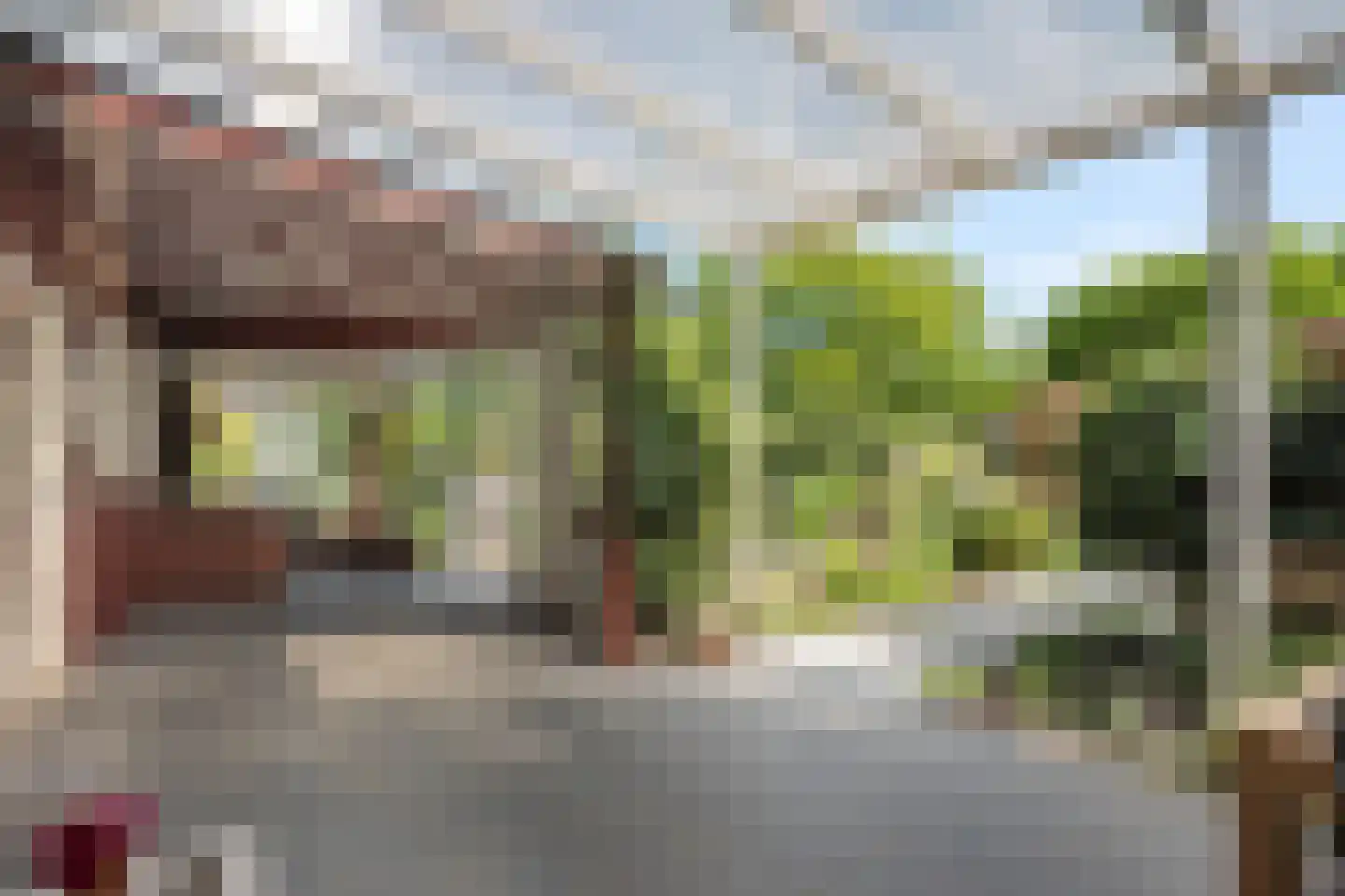 Burg. Houbenstraat 34 Papenhoven thumbnail 23