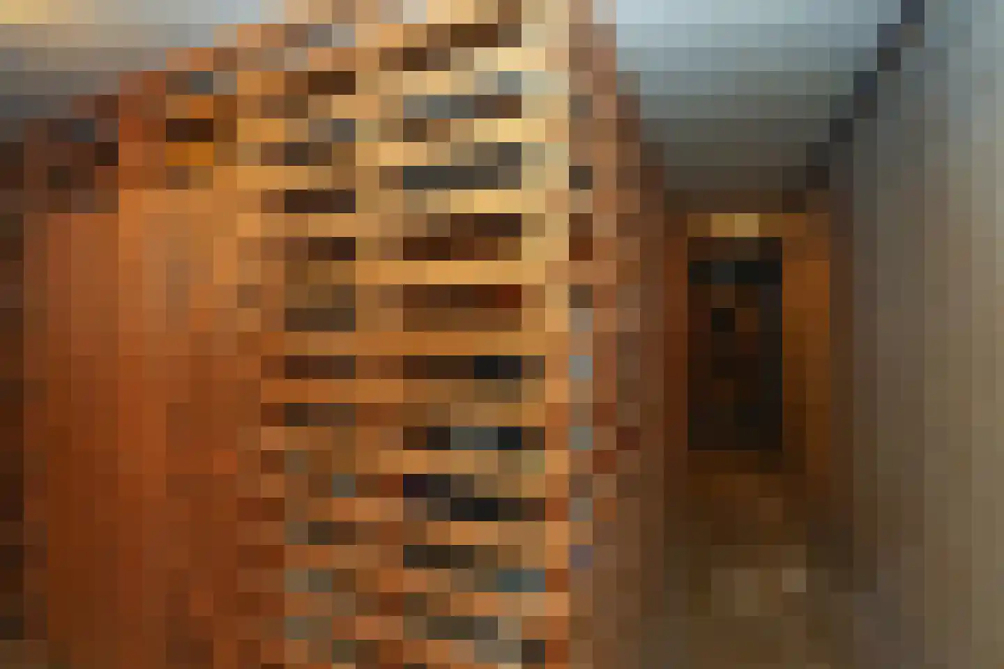 Burg. Hustinxstraat 208 Nijmegen thumbnail 18