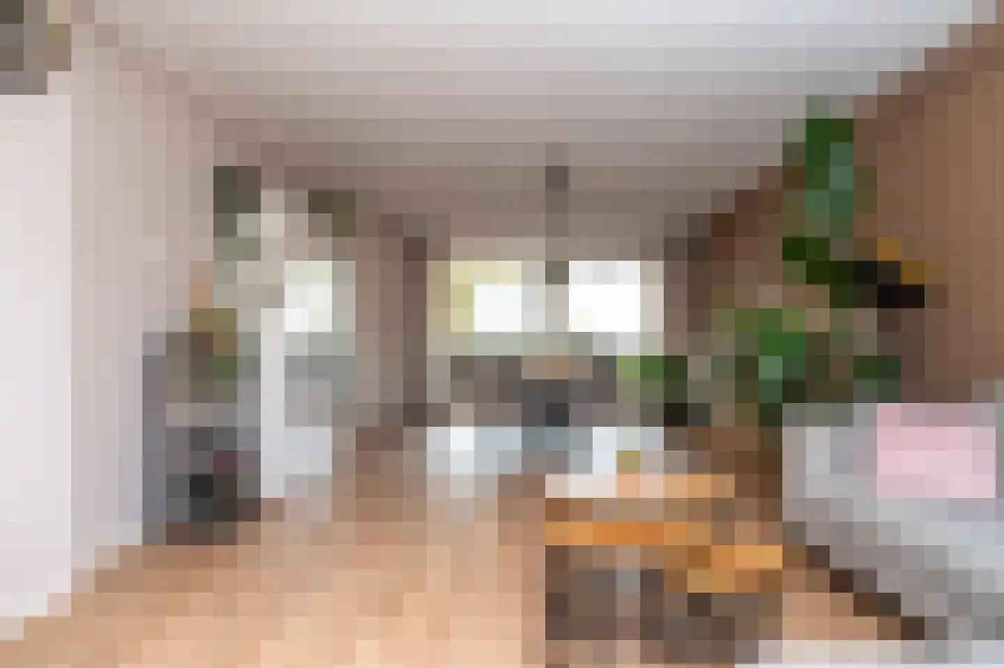 Burg. Hustinxstraat 46 Nijmegen thumbnail 11