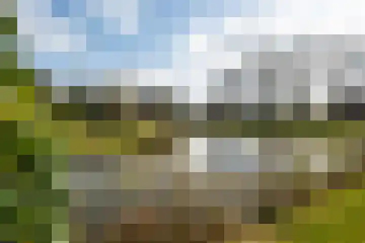 Burg. J.G. Legroweg 12 Paterswolde thumbnail 43
