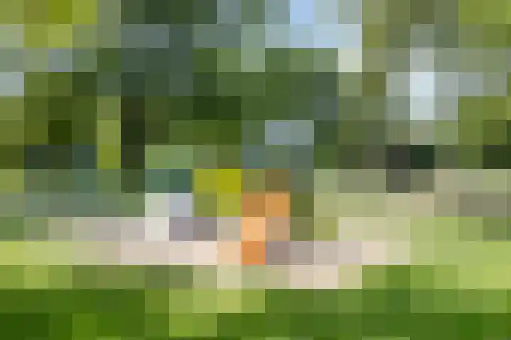 Burg. Janssenring 29 Panningen thumbnail 26