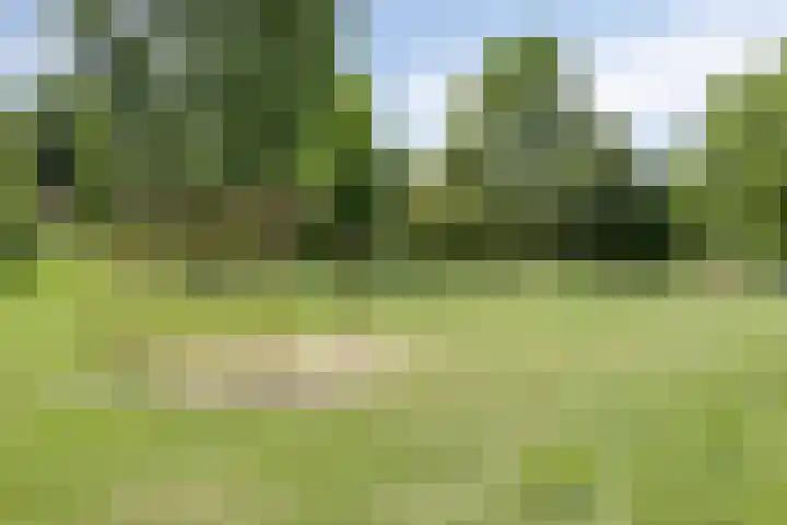 Burg. Janssenring 29 Panningen thumbnail 27