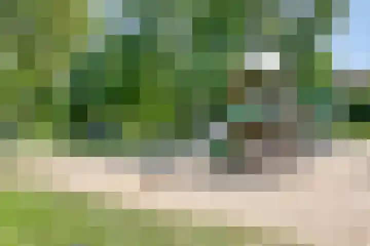 Burg. Janssenring 29 Panningen thumbnail 28