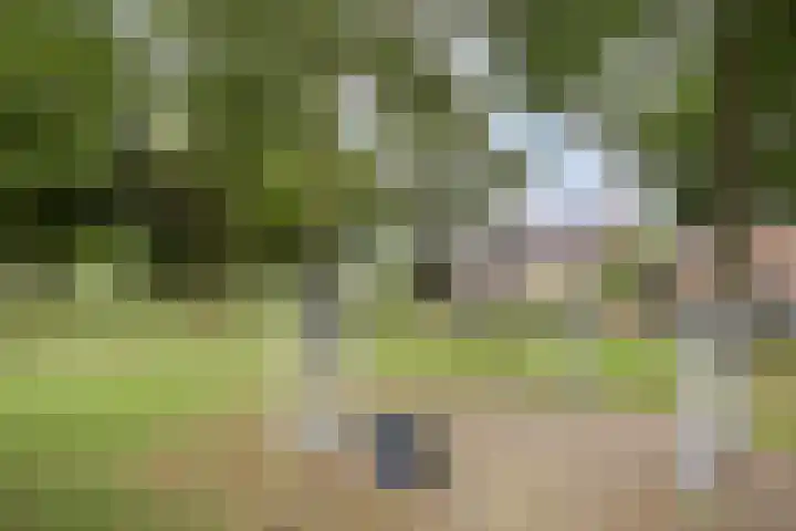 Burg. Janssenring 29 Panningen thumbnail 29