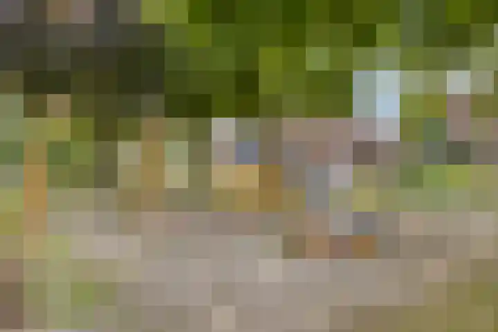 Burg. Janssenring 29 Panningen thumbnail 30