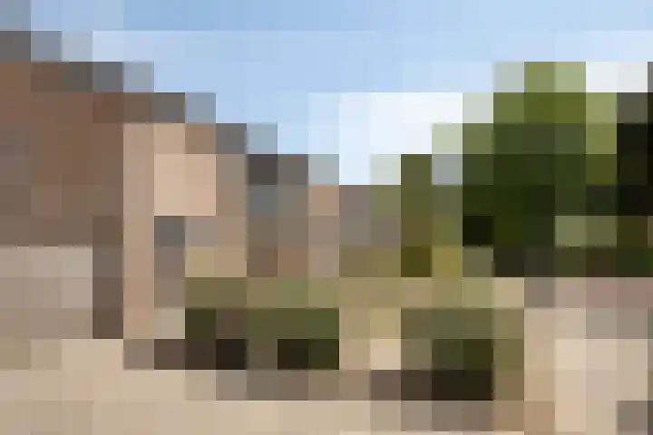 Burg. Janssenring 29 Panningen thumbnail 32