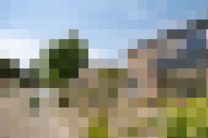Burg. Janssenring 29 Panningen thumbnail 33