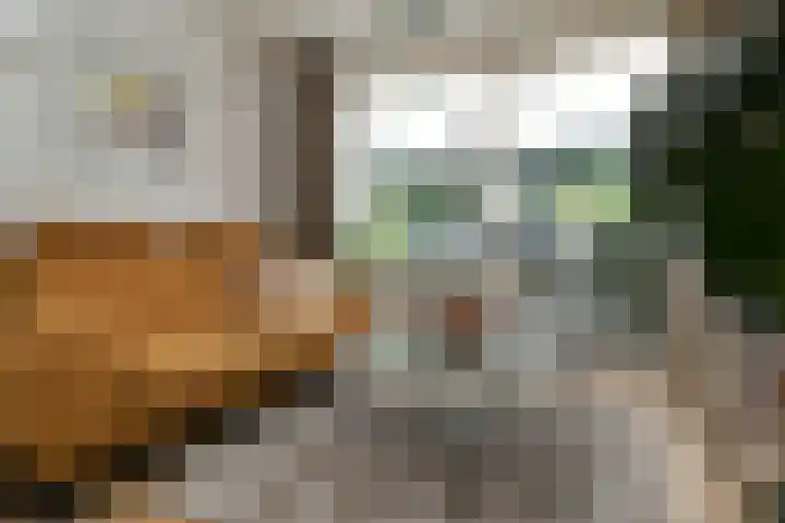 Burg. Janssenring 32 Panningen thumbnail 13