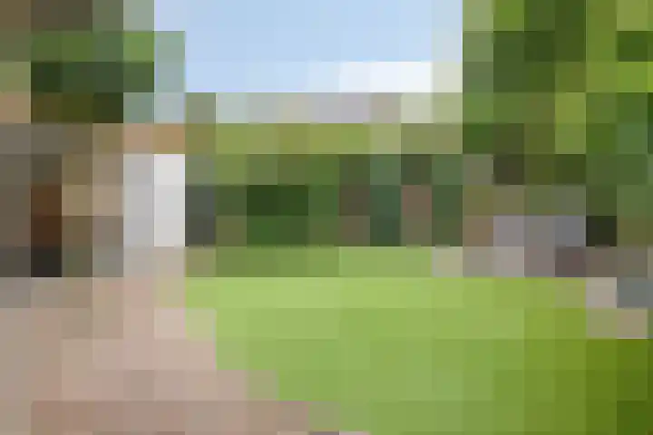 Burg. Janssenring 56 Panningen thumbnail 26