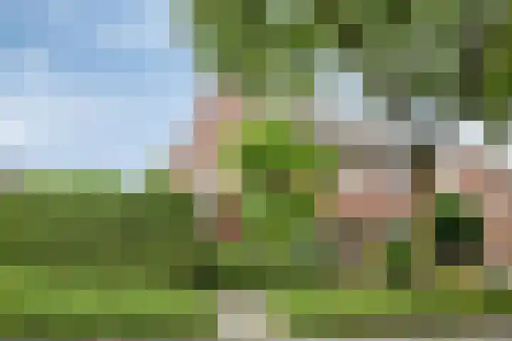 Burg. Janssenring 56 Panningen thumbnail 36