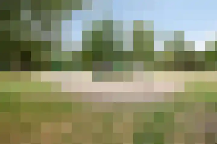 Burg. Janssenring 56 Panningen thumbnail 37