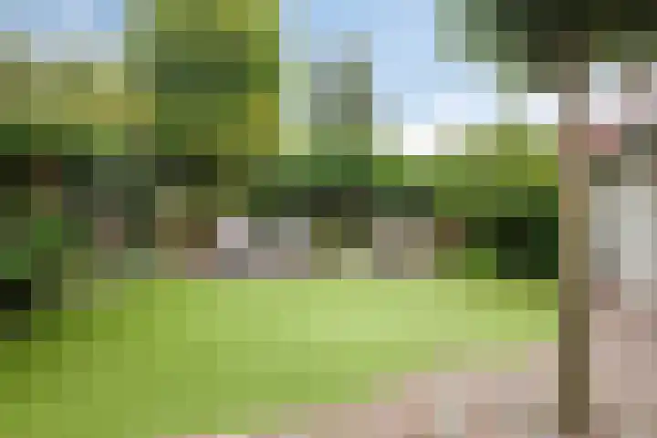Burg. Janssenring 56 Panningen thumbnail 4
