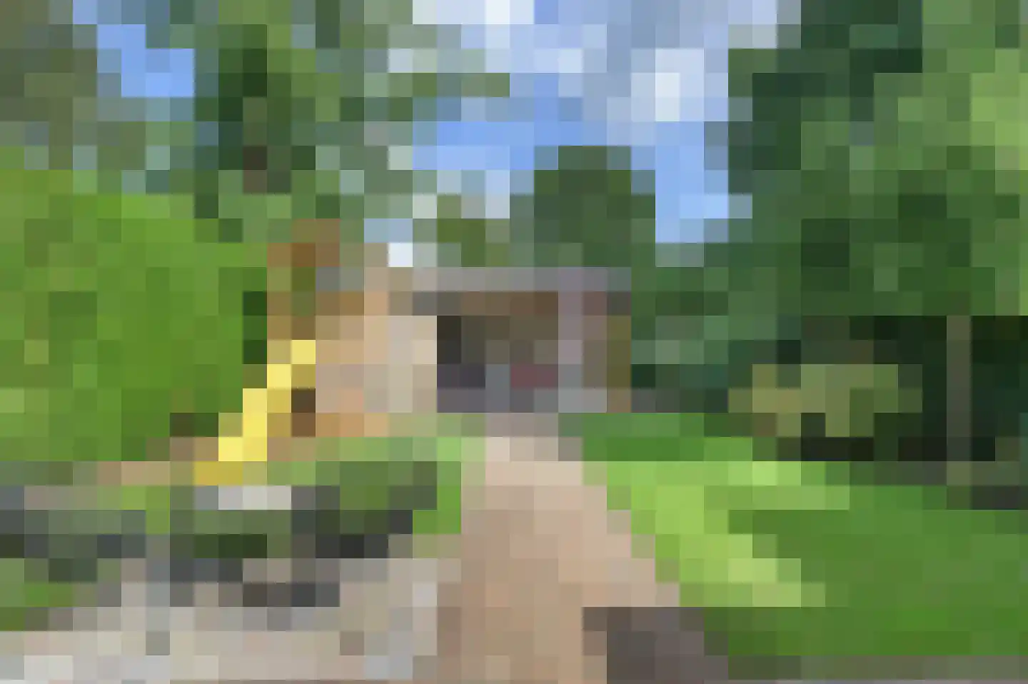 Burg. Janssensstraat 1 A Schijndel thumbnail 4
