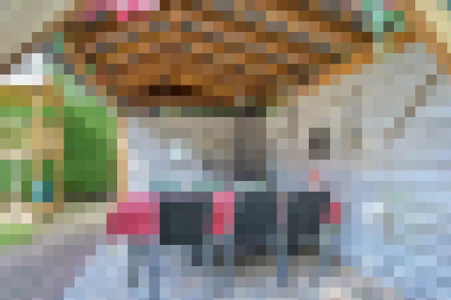 Burg. Janssensstraat 1 A Schijndel thumbnail 41