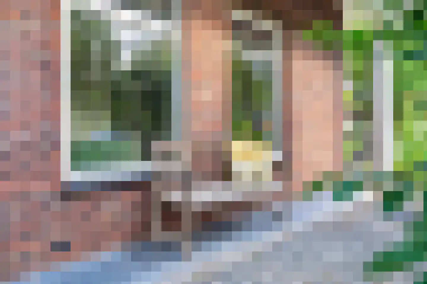 Burg. Janssensstraat 1 A Schijndel thumbnail 43