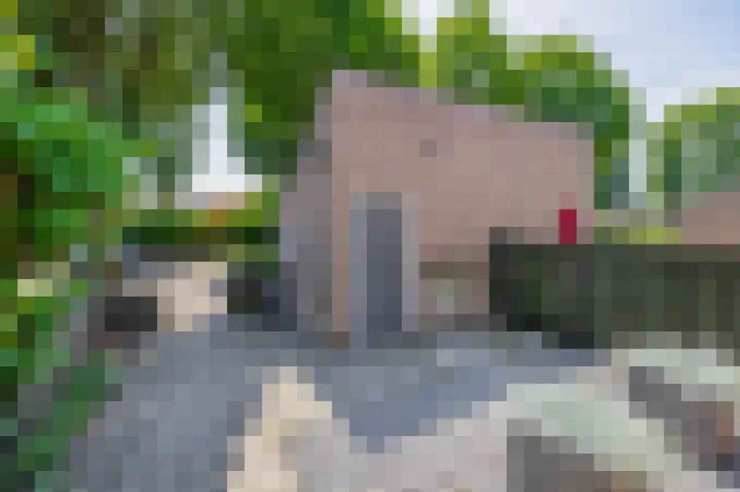 Burg. Janssensstraat 36 Schijndel thumbnail 22