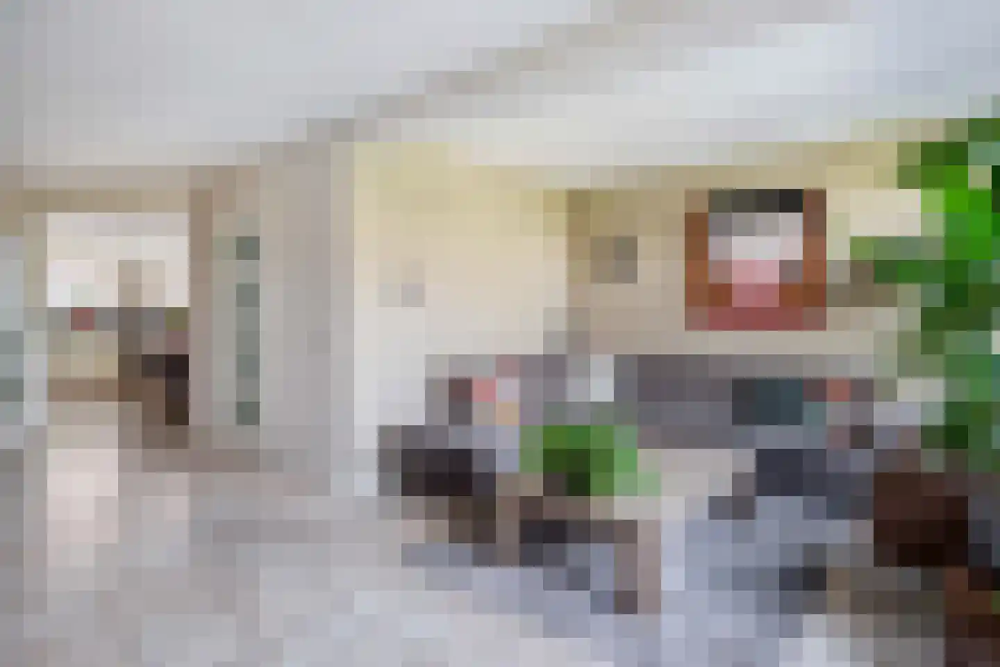 Burg. Janssensstraat 36 Schijndel thumbnail 5