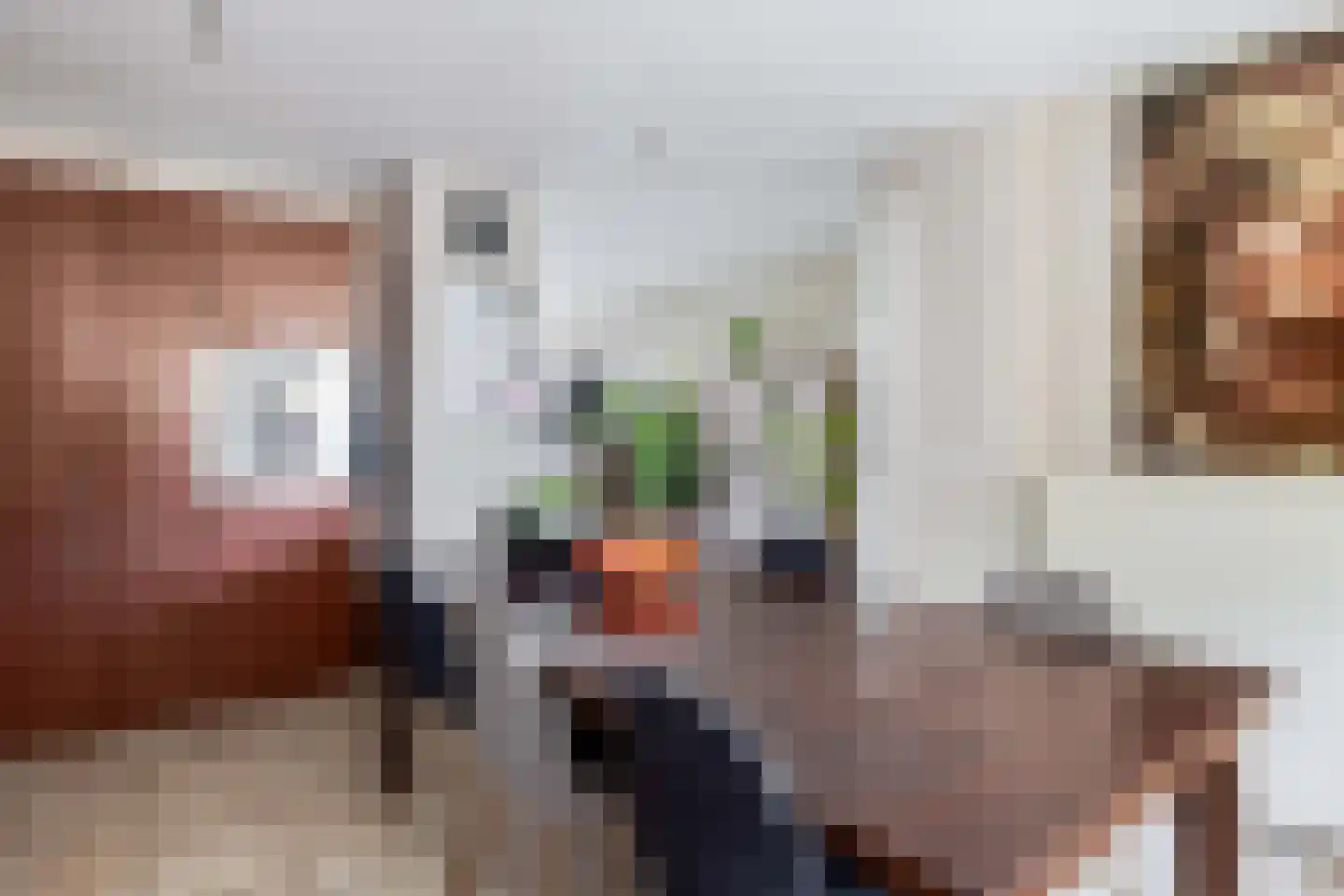 Burg. Janssensstraat 36 Schijndel thumbnail 8