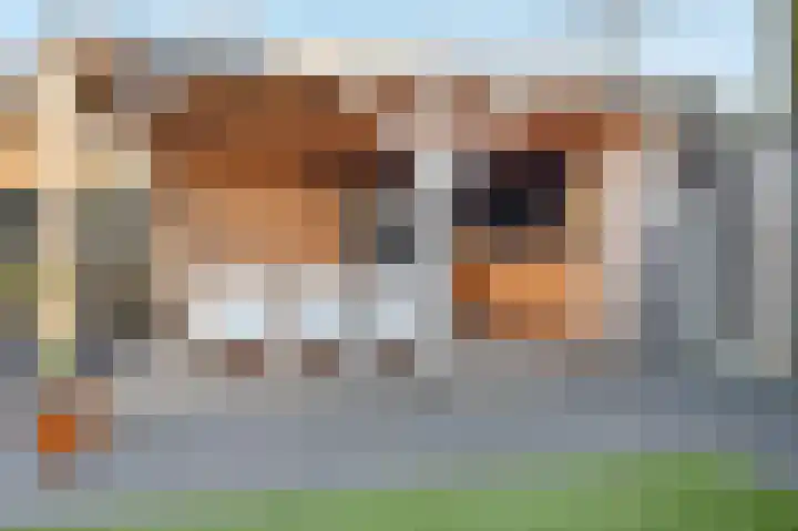 Burg. Janssensstraat 5 Schijndel thumbnail 34