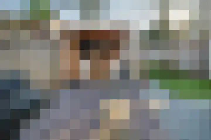 Burg. Janssensstraat 5 Schijndel thumbnail 4