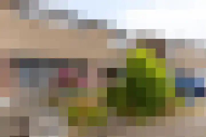 Burg Jasparstraat 11 Elsloo thumbnail 6