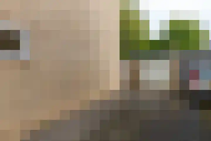 Burg Jasparstraat 11 Elsloo thumbnail 8